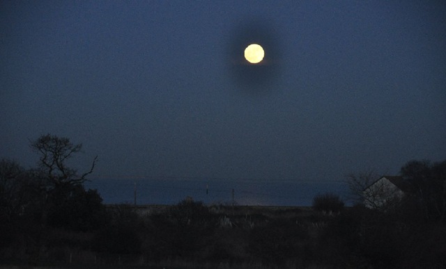 [Moonlight across the Solent Jan 11[8].jpg]