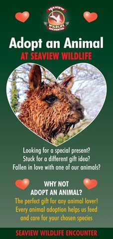 [Adopt an animal cover[15].jpg]