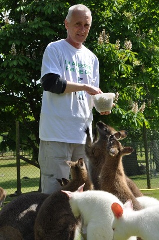 [Jon Williams with Wallabies (resized) DSC_0379[5].jpg]