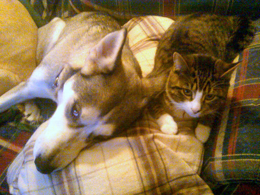 Liz Lemon with JR.