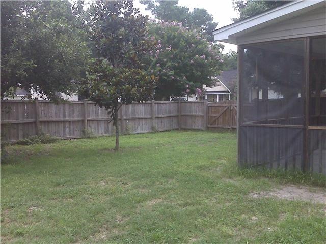 [Back Yard[3].jpg]