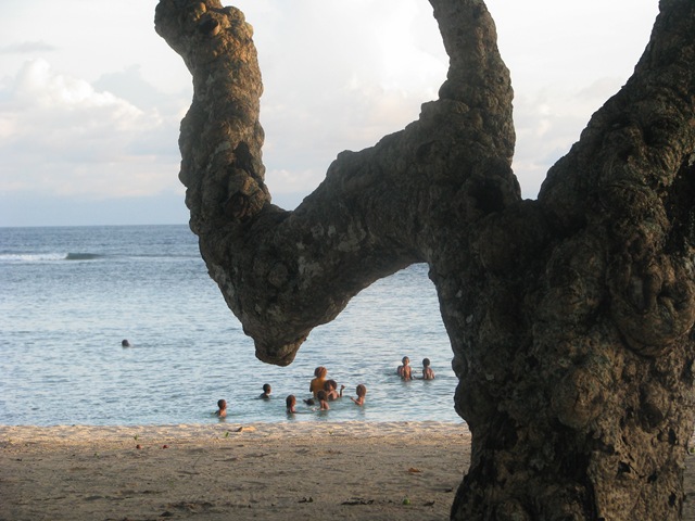 [IMG_12434.jpg]
