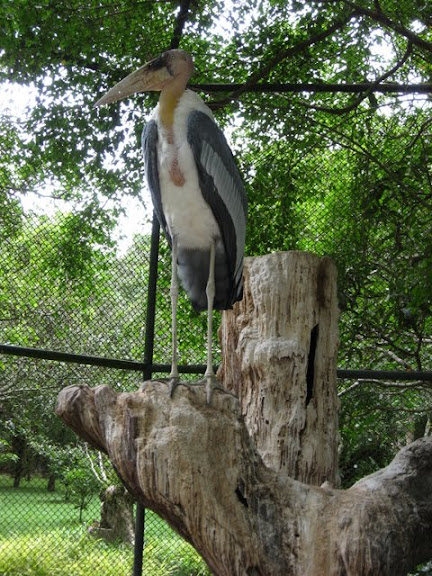 Паттайя. Пакет. 22.08-05.09