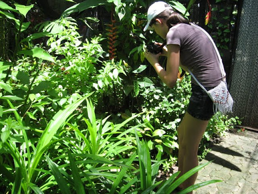 Паттайя. Пакет. 22.08-05.09