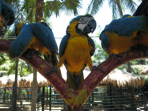 Паттайя. Пакет. 22.08-05.09