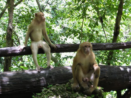 Паттайя. Пакет. 22.08-05.09