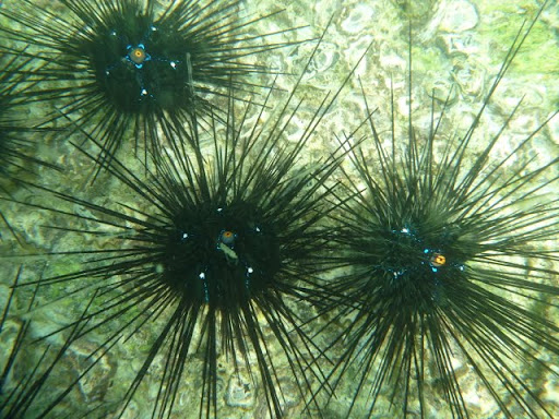 Паттайя. Пакет. 22.08-05.09