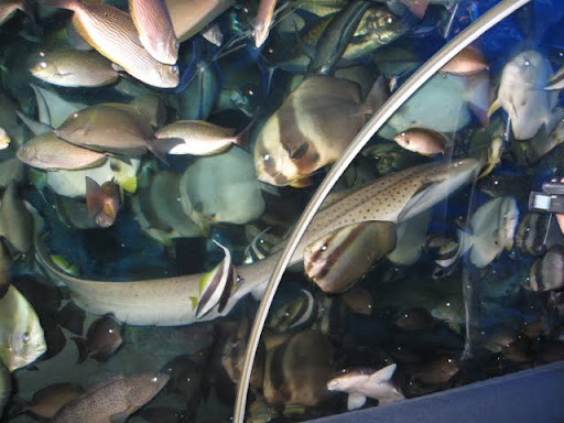 Паттайя. Пакет. 22.08-05.09