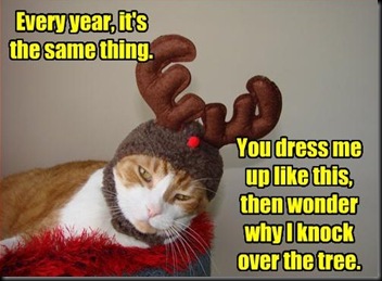 funny-pictures-cat-is-dressed-as-reindeer