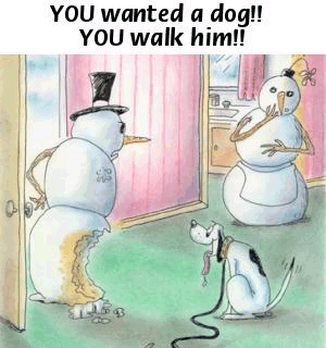 [funny-snowman-dog[3].gif]