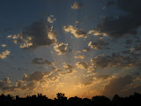 DSCF5166.JPG