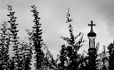 DSCF6225.jpg
