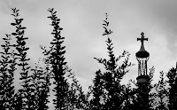 DSCF6225.jpg