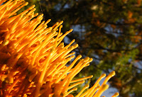 DSCF7928.jpg