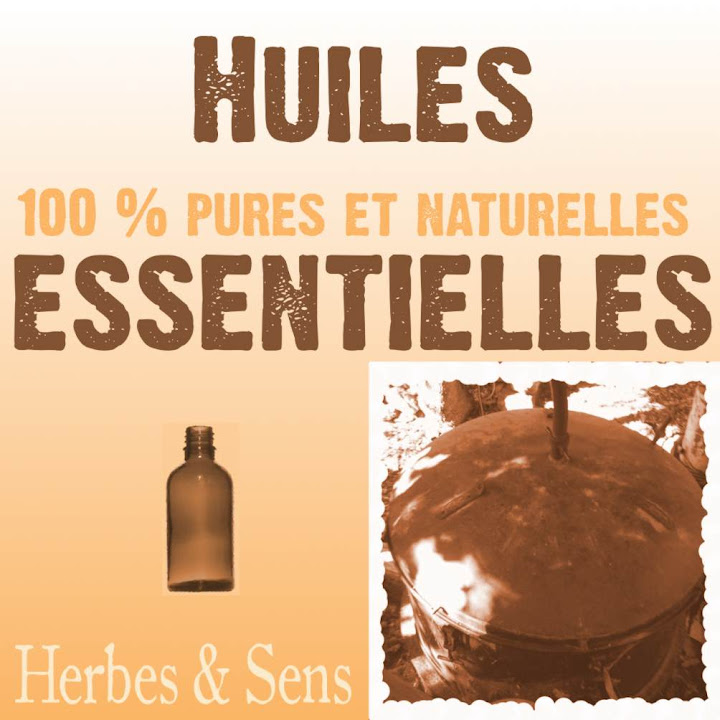 huiles essentielles Herbes et Sens