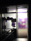 0611.jpg 0611.jpg