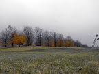 IMG_9130.jpg