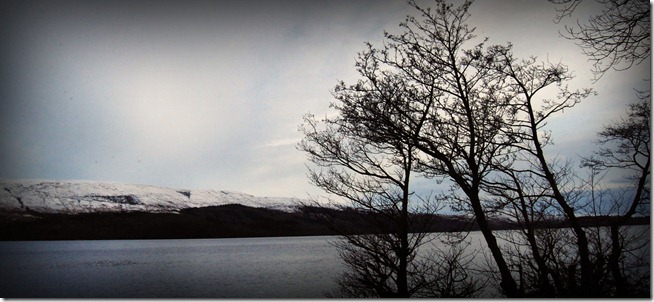 DSC_0117 DSC_0117