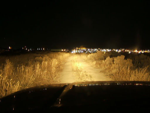 DSCF6688.JPG