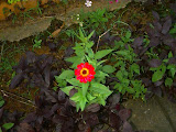 Itapecerica - 61.jpg
