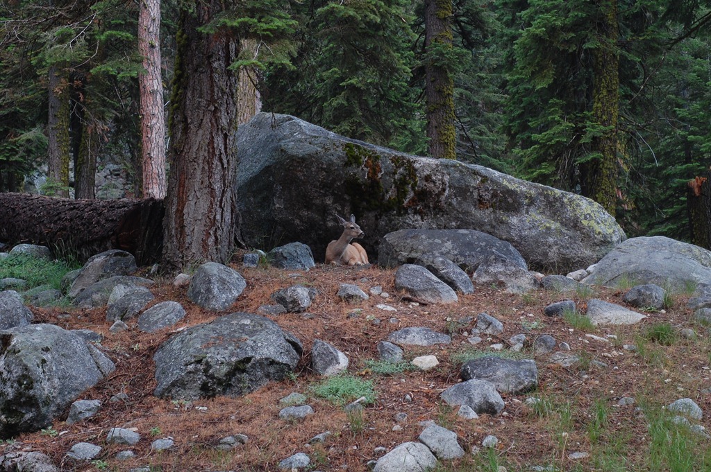 [DSC_4420[4].jpg]