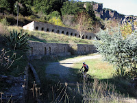 IMG_7380.jpg