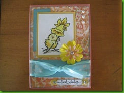 Trish's Cards January 2011 114 Trish's Cards January 2011 114