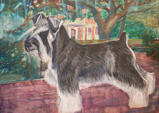 schnauzer painting