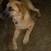 DSCN3809.JPG