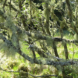 IMG_2535.JPG