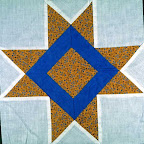 Braced Star