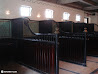 Casa Loma photo 46