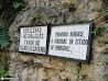 Mayan Ruins photo 9