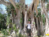 Mayan Ruins photo 14