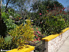 Mayan Ruins photo 2