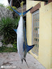 Cancun photo 11