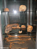 Stockholm Museet photo 51
