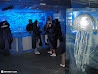 ABSOLUT Icebar photo 17