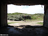 IJmuiden Revisited photo 48