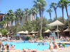Las Vegas photo 8