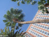 Las Vegas photo 144