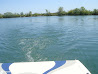 Lake Ontario photo 18