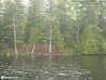 Houseboat Adventure photo 170