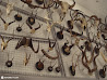 Royal Ontario Museum photo 22