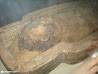 Royal Ontario Museum photo 44