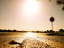 100_14831.JPG