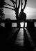 100_16171.JPG