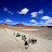 Chili &ndash; Decor lunaire a 4300m d'altitude