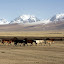 Chine &ndash; 