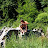 Bulgarie &ndash; 
